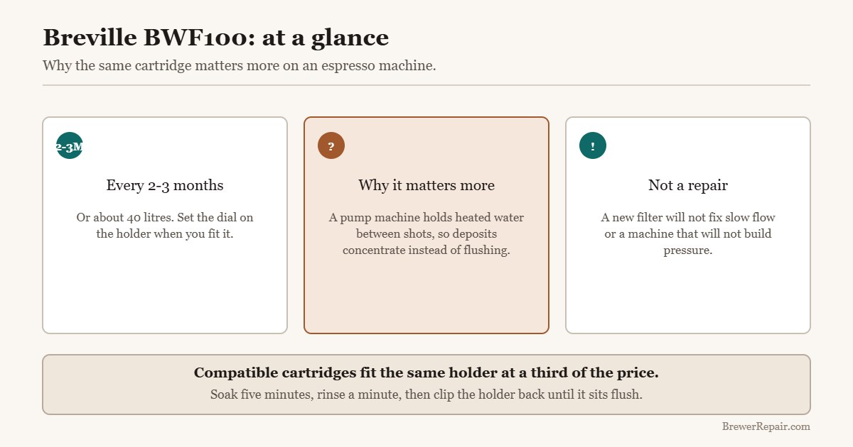 Quick reference for the Breville BWF100 water filter: interval, why espresso differs, and its limits