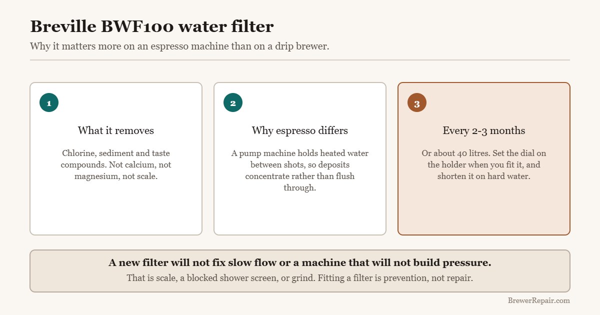 Diagram explaining what a Breville BWF100 water filter removes and how often to change it