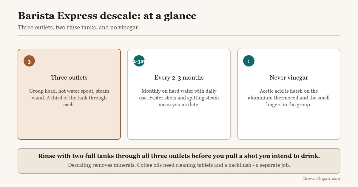 Quick reference for descaling a Breville Barista Express: three outlets, interval, and no vinegar