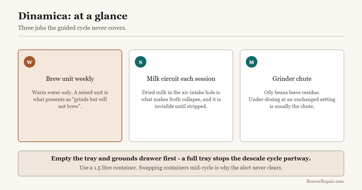Quick reference for De Longhi Dinamica maintenance beyond the descale cycle