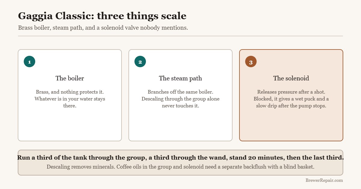 Diagram of the three parts that scale on a Gaggia Classic: boiler, steam path and three-way solenoid valve