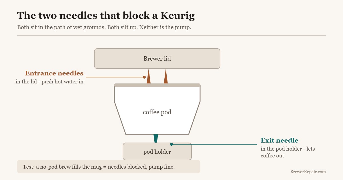 Diagram of the Keurig entrance needles in the lid and the exit needle in the pod holder