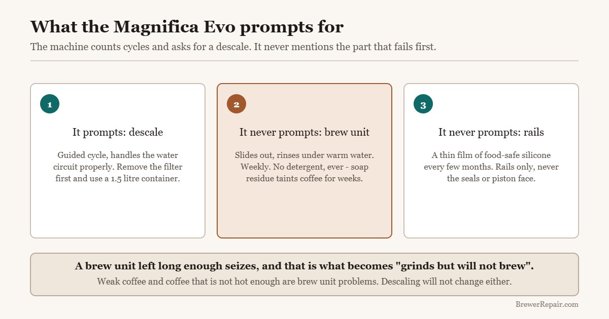 Diagram showing that a De Longhi Magnifica Evo prompts for descaling but never for brew unit cleaning