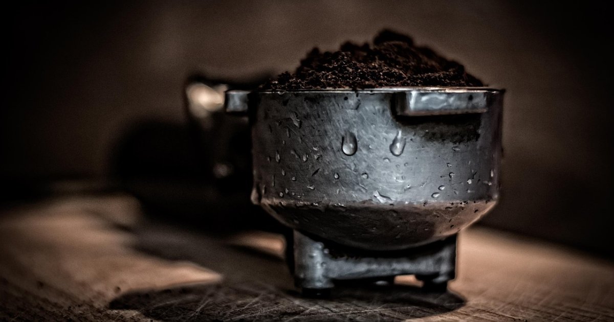 Close-up of a stovetop moka pot base and filter plate